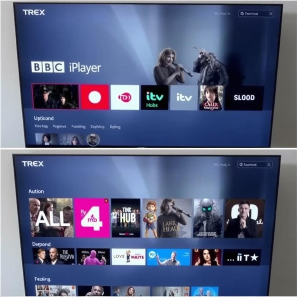 Trex IPTV UK catch-up and on-demand