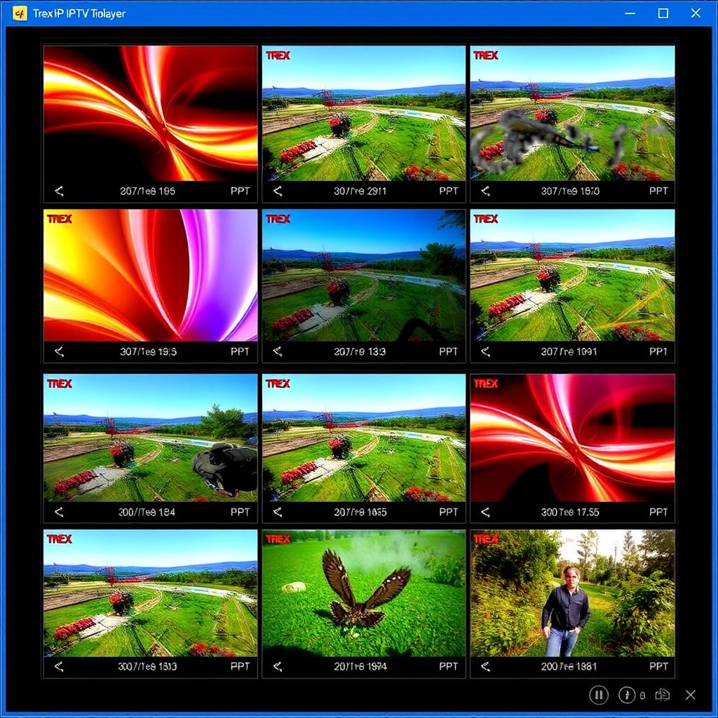 Trex IPTV WINDOWS TREX PLAYER with multiple channels view